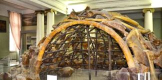 Encontrado Casa Construída Com Ossos de Mamute Há 18 Mil Anos na Era Glacial