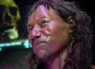 Onze Descobertas Magníficas Sobre Ancestrais Humanos em 2025 Mudaram Nossa Visão