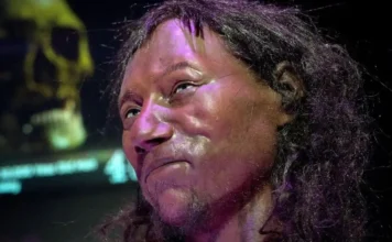 Onze Descobertas Magníficas Sobre Ancestrais Humanos em 2025 Mudaram Nossa Visão | Nature & Space