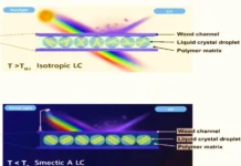 Janela de Madeira Transparente Regula Temperatura e Luz de Forma Autônoma | Nature & Space