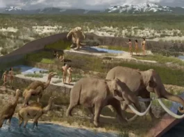 Fósseis Revelam: Humanos Chegaram às Américas 10 Mil Anos Antes do Que se Pensava | Nature & Space