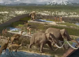 Fósseis Revelam: Humanos Chegaram às Américas 10 Mil Anos Antes do Que se Pensava | Nature & Space