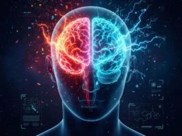 Neurociência da Ressaca: Como o Álcool Altera a Recompensa e Dispara o Stress e a Ansiedade | Nature & Space