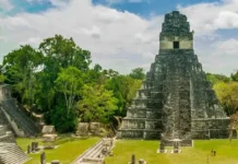 Pesquisa Revela: Civilização Maia Teve 16 Milhões de Pessoas e Durou 3 Mil Anos | Nature & Space