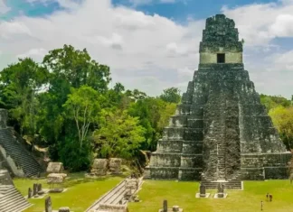 Pesquisa Revela: Civilização Maia Teve 16 Milhões de Pessoas e Durou 3 Mil Anos | Nature & Space