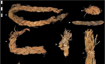 Roupas de Pele Costuradas de 12 Mil Anos Podem Ser as Mais Antigas | Nature & Space