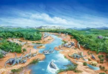 Arquitetos da Paisagem: Extinção dos Dinossauros Alterou Radicalmente a Vegetação e Ecossistemas | Nature & Space