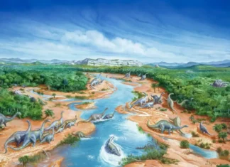 Arquitetos da Paisagem: Extinção dos Dinossauros Alterou Radicalmente a Vegetação e Ecossistemas | Nature & Space