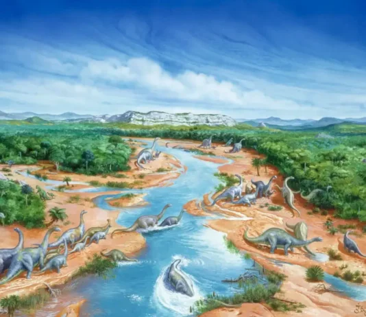 Arquitetos da Paisagem: Extinção dos Dinossauros Alterou Radicalmente a Vegetação e Ecossistemas | Nature & Space