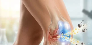 Regenerar Cartilagem de Joelho Sem Cirurgia é Possível Bloqueando Enzimas do Envelhecimento | Nature & Space