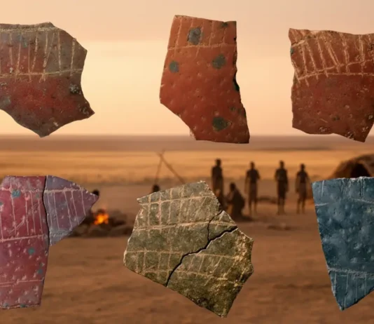 65 Mil Anos: Sofisticados Desenhos Geométricos em Casca de Ovos na África São os Mais Antigos | Nature & Space