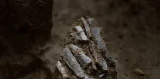 Há 30 mil Anos Um Caçador-Coletor Perdeu a Bolsa Com um kit de 29 Ferramentas de Pedra | Nature & Space