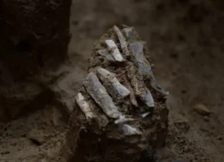 Há 30 mil Anos Um Caçador-Coletor Perdeu a Bolsa Com um kit de 29 Ferramentas de Pedra | Nature & Space