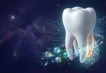 Dentes Novos: Descoberto Células-Tronco e Processos da Regeneração Dentária | Nature & Space