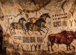 Escrita Pode Ter Iniciado há 20 Mil Anos na Europa e Mudar a História Indicam 600 Sinais em Cavernas | Nature & Space