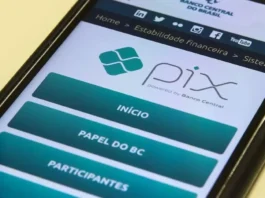 PIX, BRICS Pay, Nexus e Wero: Revolução no Pagamento Digital e na Geopolítica Financeira | Nature Space