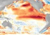 Clima: Efeitos de Um Super El Niño e o Que Fazer Para Minimizar os Impactos | Nature & Space