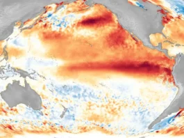 Clima: Efeitos de Um Super El Niño e o Que Fazer Para Minimizar os Impactos | Nature & Space