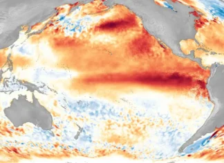 Clima: Efeitos de Um Super El Niño e o Que Fazer Para Minimizar os Impactos | Nature & Space