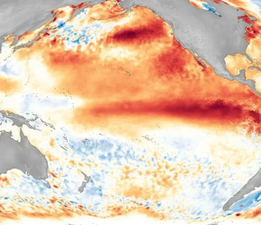 Clima: Efeitos de Um Super El Niño e o Que Fazer Para Minimizar os Impactos | Nature & Space