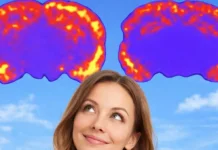 Nanotecnologia Inédita Reverte Alzheimer Ao Restaurar Barreira de Proteção e Limpeza do Cérebro | Nature & Space