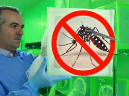 Reduziu 90 %: Cientista da Fiocruz Premiado Por Controle Natural e Queda Drástica da Dengue | Nature & Space