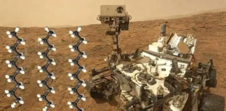 Novas Regras Para Comunicar Descoberta de Vida ET Prevê Consulta Pública Se Devemos Fazer Contato | Nature & Space