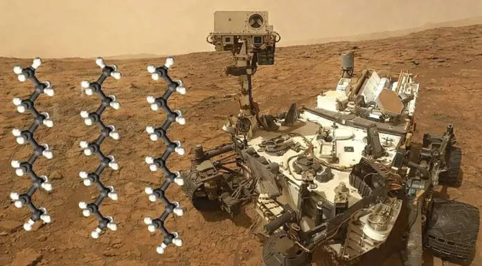 Novas Regras Para Comunicar Descoberta de Vida ET Prevê Consulta Pública Se Devemos Fazer Contato | Nature & Space