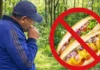 Maior Pesquisa Sobre Obesidade Muda Visões de Décadas: Homens no Brasil e Meninas no Mundo Preocupam | Nature & Space
