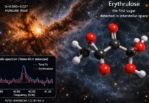 Primeira Vez: Detectado Açúcar no Espaço Interestelar, Elementos Bases do RNA, DNA e Da Vida | Nature & Space