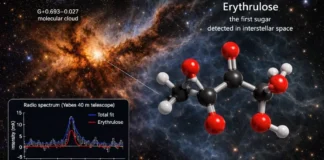 Primeira Vez: Detectado Açúcar no Espaço Interestelar, Elementos Bases do RNA, DNA e Da Vida | Nature & Space