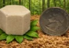 Fim do Isopor: Inventada Espuma de Serragem de Madeira Que Substitui Poliestireno Derivado do Petróleo | Nature & Space