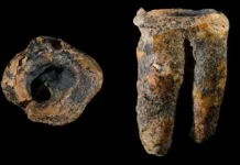 Há 59 Mil Anos: O Mais Antigo Tratamento de Cárie Foi Realizado Por Neandertais, Na Sibéria, Rússia | Nature & Space