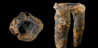 Há 59 Mil Anos: O Mais Antigo Tratamento de Cárie Foi Realizado Por Neandertais, Na Sibéria, Rússia | Nature & Space