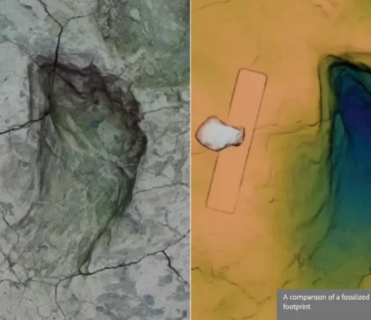 Pegadas de 1,43 Milhões de Anos no Quênia: Duas Espécie Humanas Podem Ter Andado Lado a Lado | Nature & Space