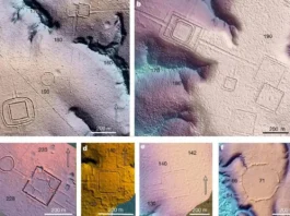 Aquiry: Há 2 Mil Anos Amazônia Abrigou Civilização de Até 10 Milhões, Com Surpreendente Sofisticação | Nature & Space
