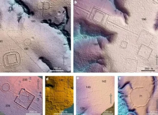 Aquiry: Há 2 Mil Anos Amazônia Abrigou Civilização de Até 10 Milhões, Com Surpreendente Sofisticação | Nature & Space