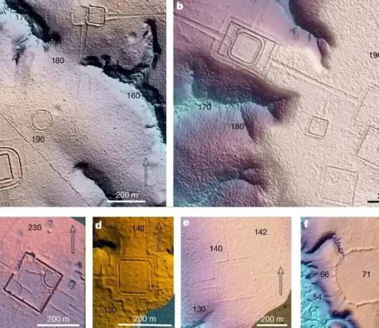 Aquiry: Há 2 Mil Anos Amazônia Abrigou Civilização de Até 10 Milhões, Com Surpreendente Sofisticação | Nature & Space