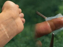 IA Em Adesivo Curativo Na Pele Coleta Dados de Saúde, Analisa e Age Sobre o Corpo em Milissegundos | Nature & Space