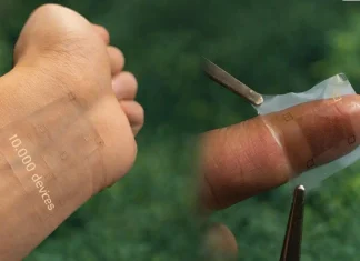 IA Em Adesivo Curativo Na Pele Coleta Dados de Saúde, Analisa e Age Sobre o Corpo em Milissegundos | Nature & Space