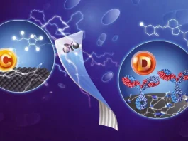 Chip Inédito da USP Detecta Vitaminas C e D na Saliva e na Pele em Minutos, e Poderá Identificar Até Câncer | Nature & Space